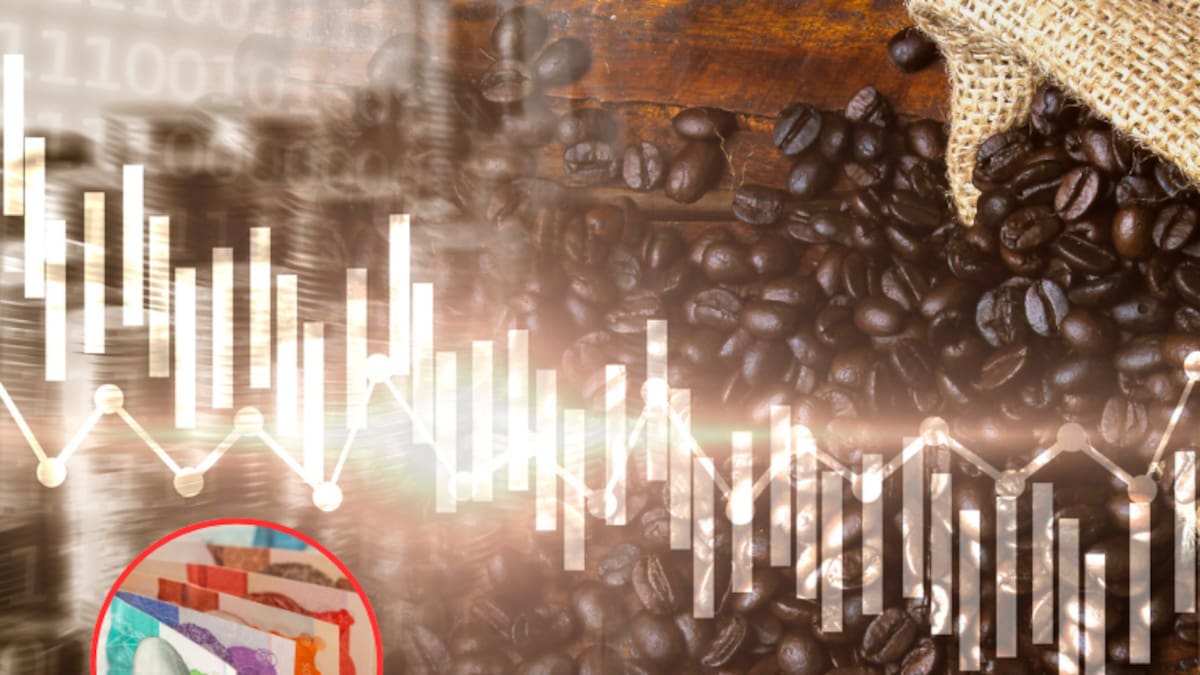 ¿Sigue subiendo? Precio café HOY 20 de agosto: así inicia la semana el valor de la carga según FNC