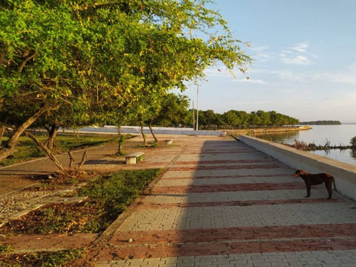 Recuperaron más de un kilómetro del Parque Lineal de La Perimetral
