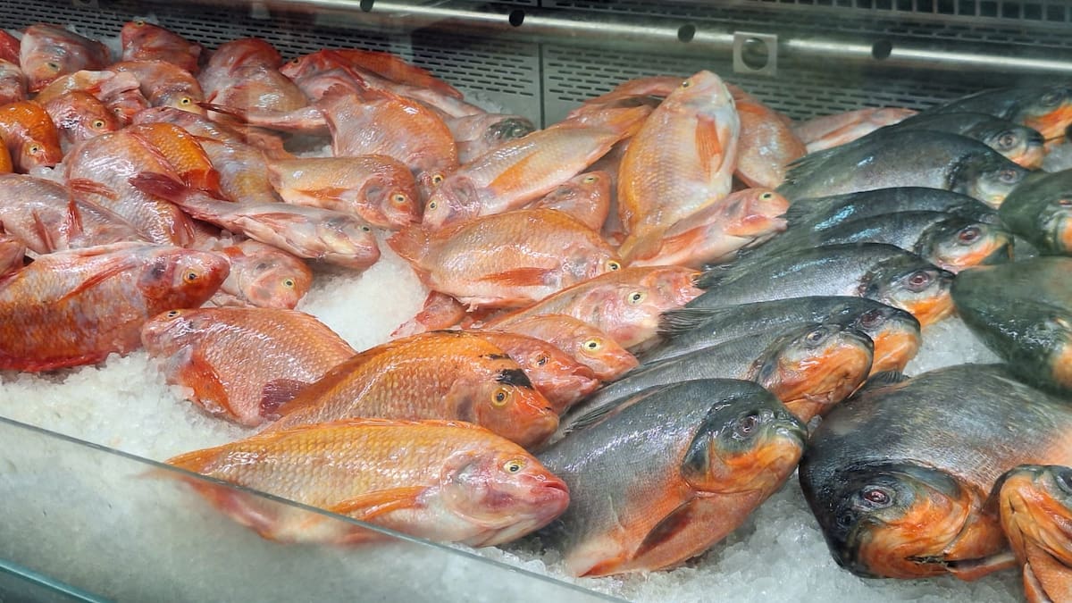 Autoridades de salud realizan inspecciones a pescaderías de Pereira