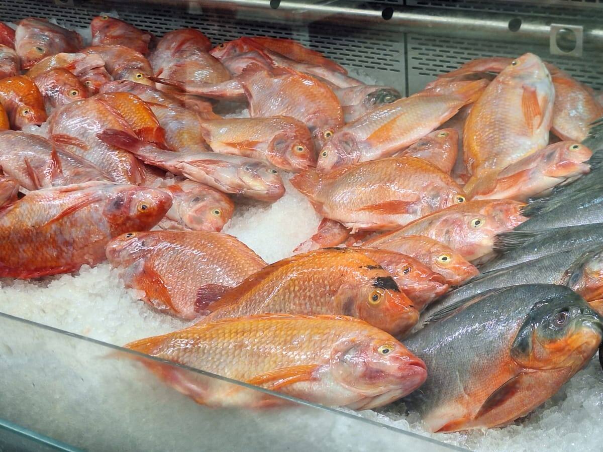 Autoridades de salud realizan inspecciones a pescaderías de Pereira