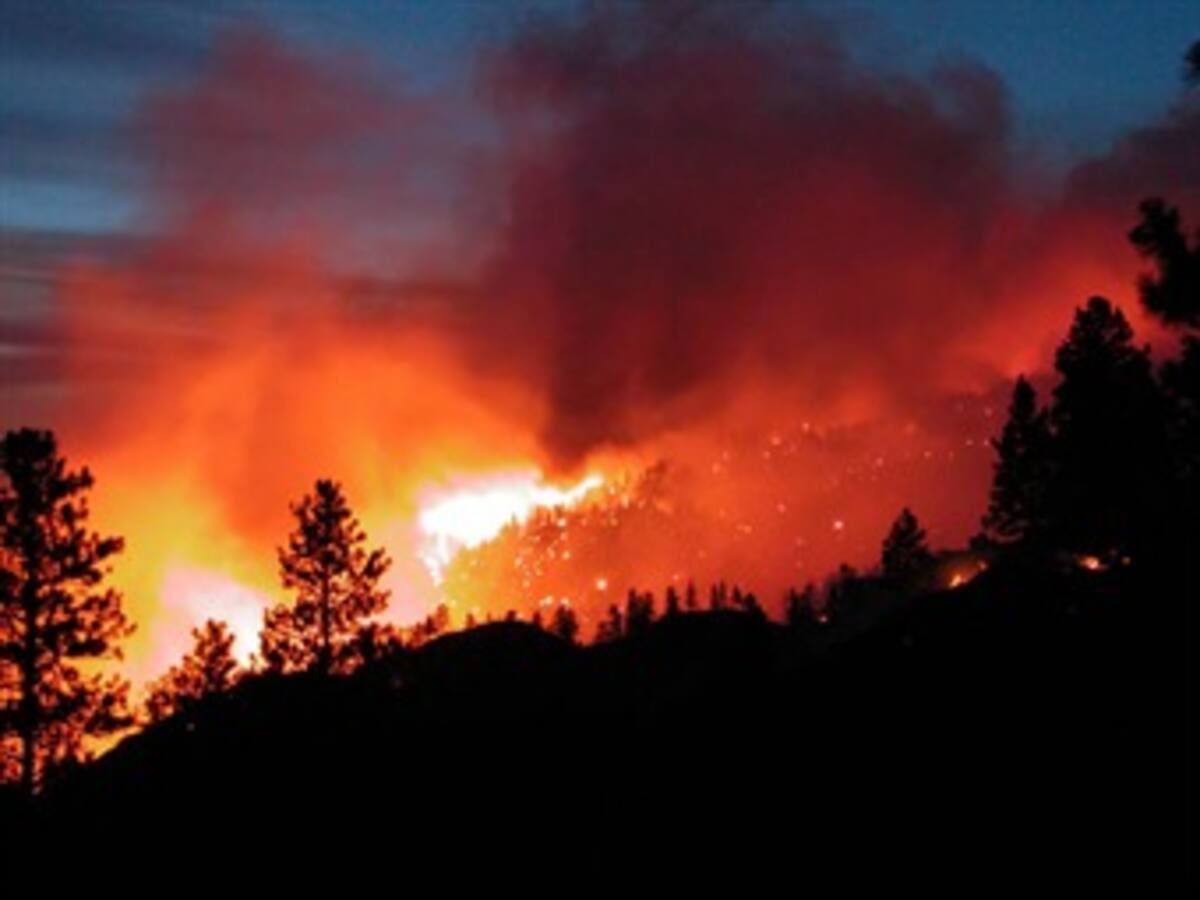 70.000 hectáreas de bosques arrasadas por incendios en EEUU