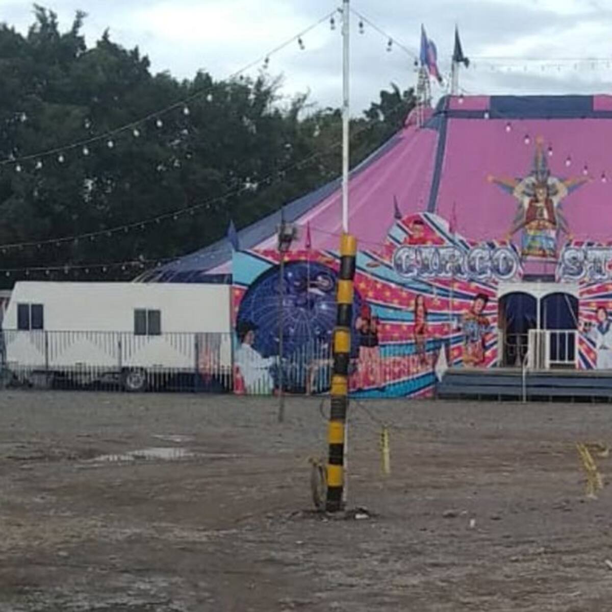 40 integrantes de circo en Armenia solicitan ayudas ante COVID-19