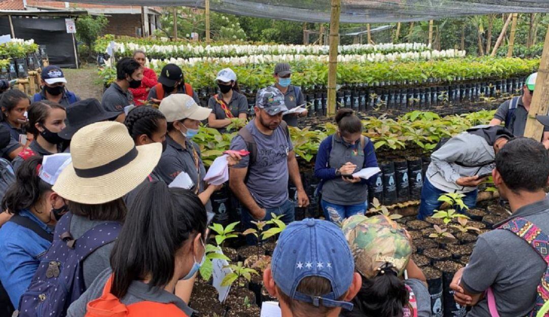 Asociaciones campesinas