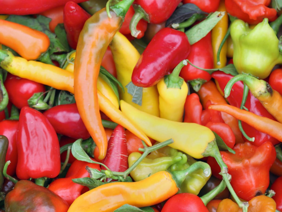 Consumir alimentos picantes ayuda a prevenir enfermedades como el cáncer, según estudio