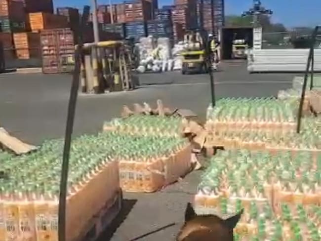 Droga incautada en zona portuaria de Barranquilla./ Foto: Dirección Antinarcóticos