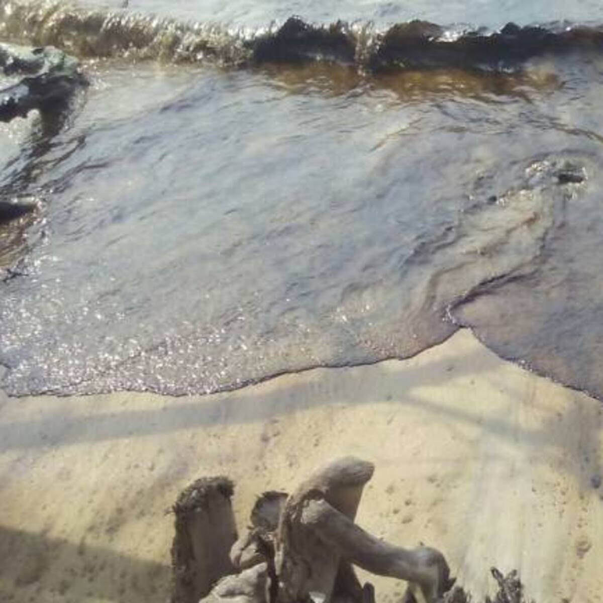 U'was denuncian contaminación de aguas por crudo que impacta a Boyacá, Arauca y Nte. Santander