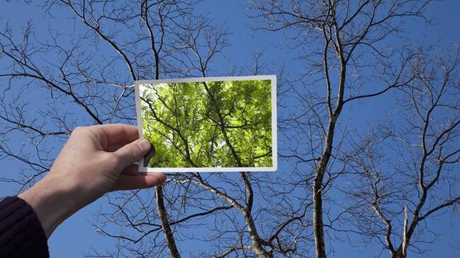 ¿Qué cambio necesitan los colombianos?. Foto: Getty Images / THOMAS JACKSON