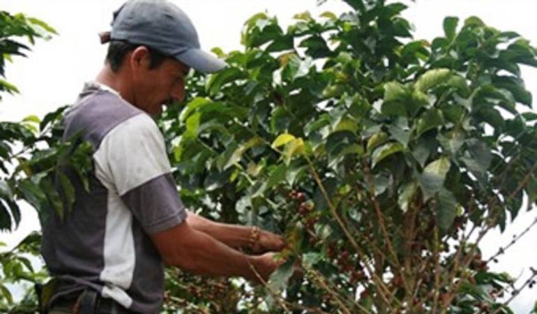 Municipios como Circasia y Montenegro tiene racionamiento de agua.