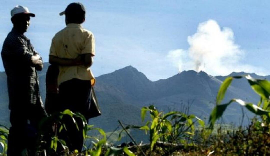 Erradicación voluntaria de cultivos 