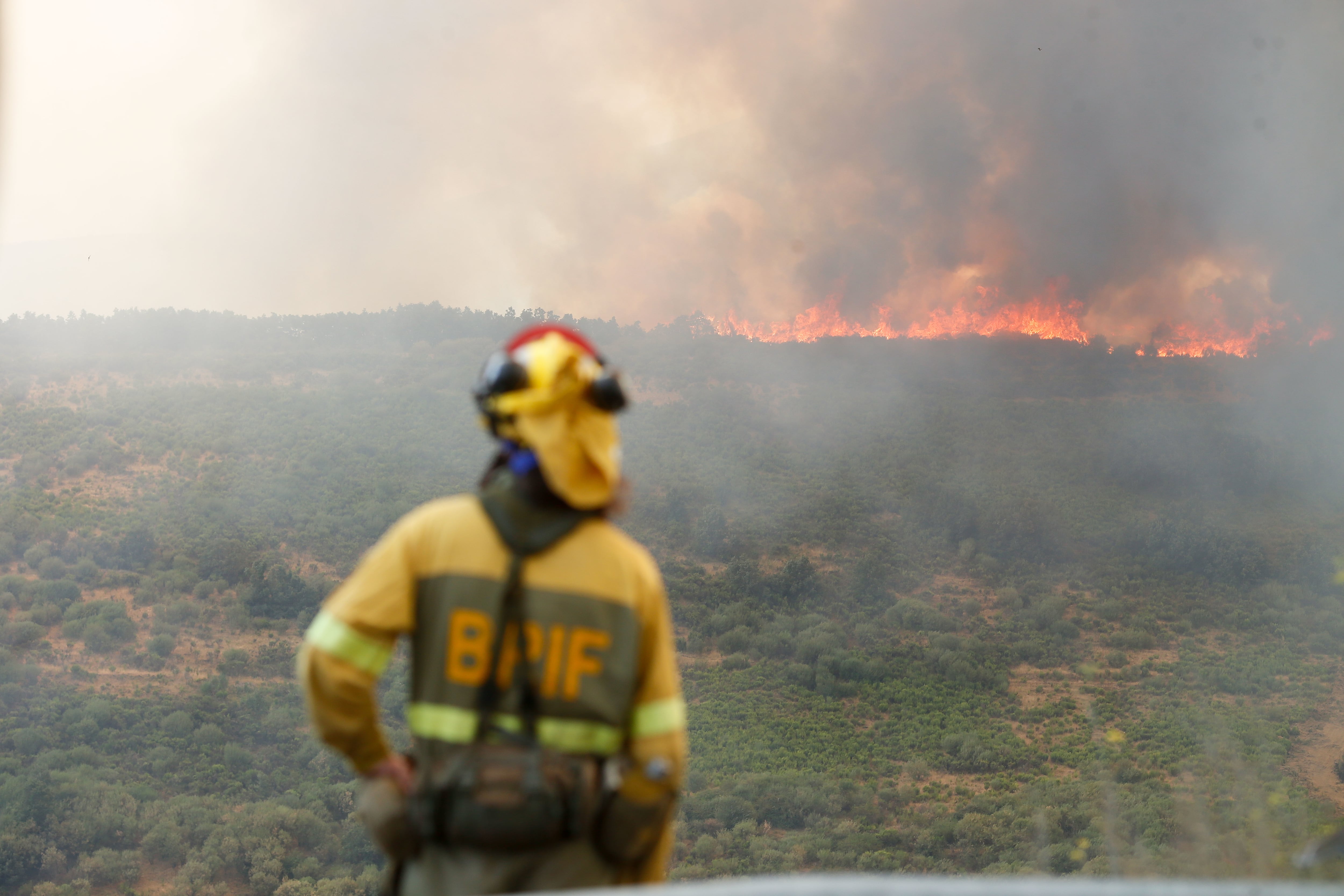 Incendio en España. Foto: Carlos Castro/Europa Press via Getty Images