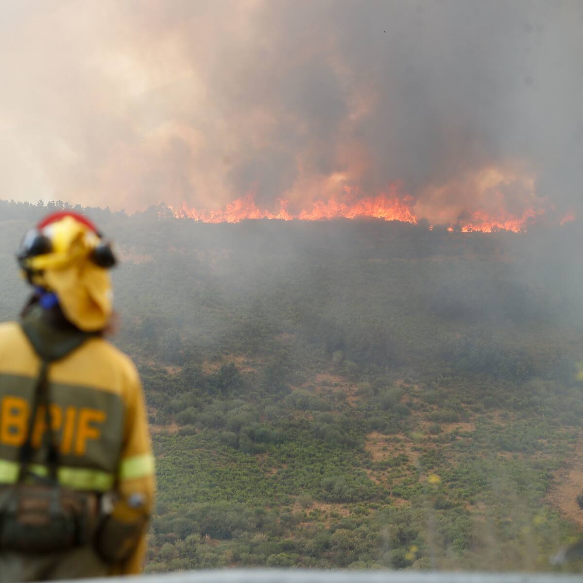Calor extremo aumenta incendios forestales en Francia, España y Portugal