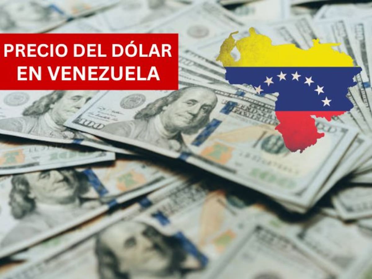 Precio del dólar en Venezuela HOY 7 de noviembre: así cierra la semana, según el BCV