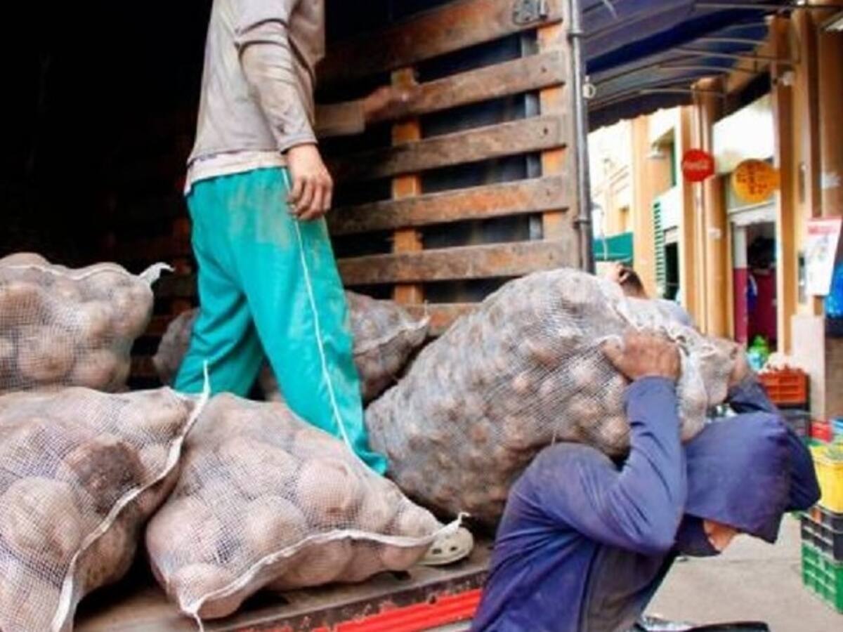 Papatón en Bucaramanga, Floridablanca y Piedecuesta del 10 al 11 de octubre: lugares y horarios