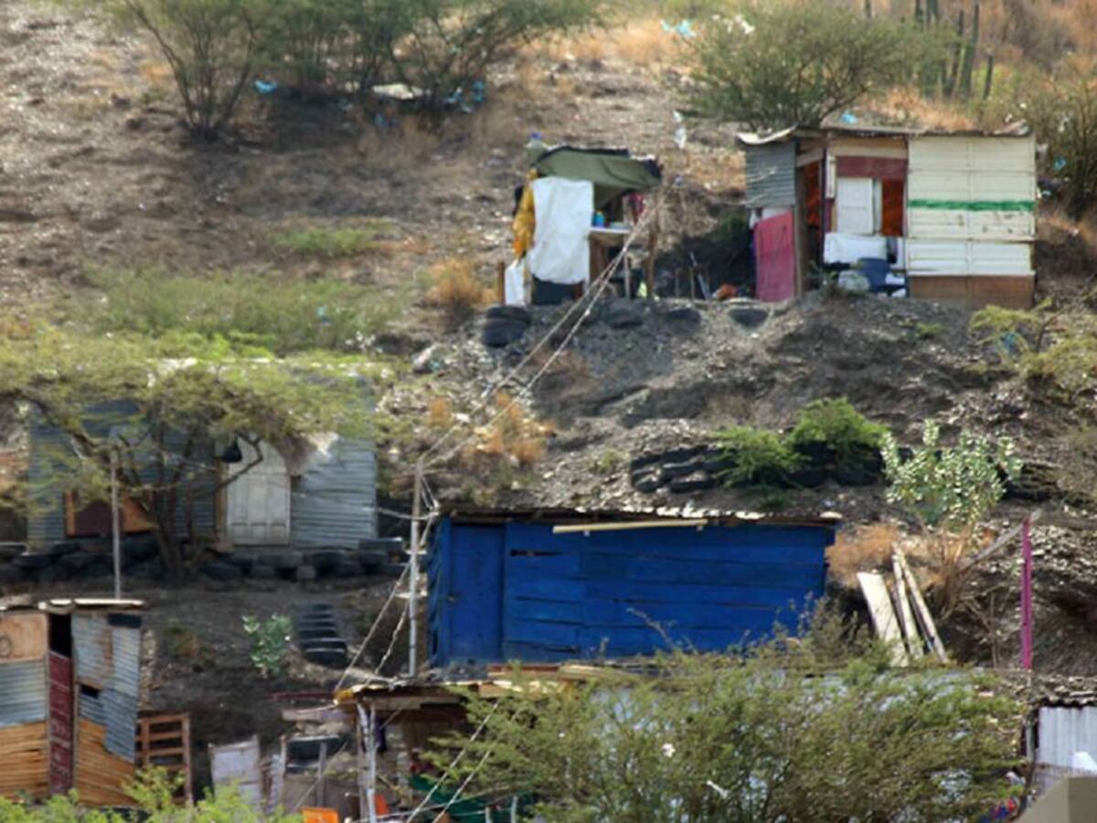 Familias invaden terrenos en el municipio de Teorama