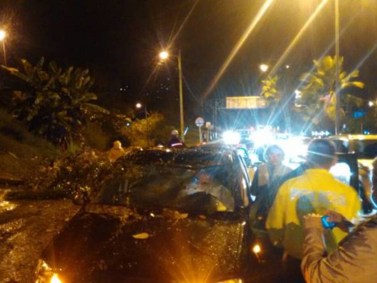 Lluvias causaron caída de árboles y rocas en varias zonas de Manizales