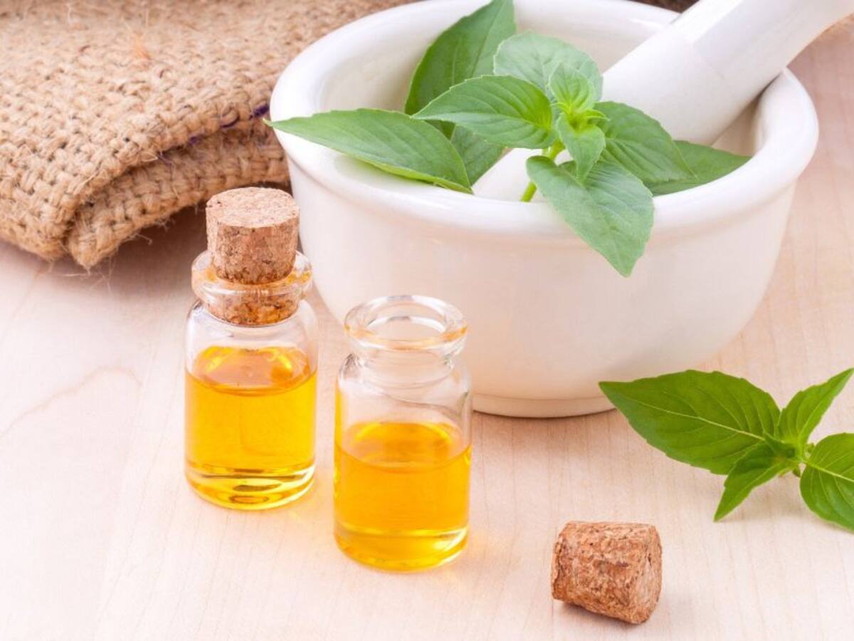 ¿Qué es el CLAMIC?