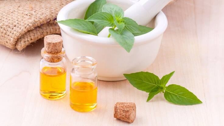 ¿Qué es el CLAMIC?