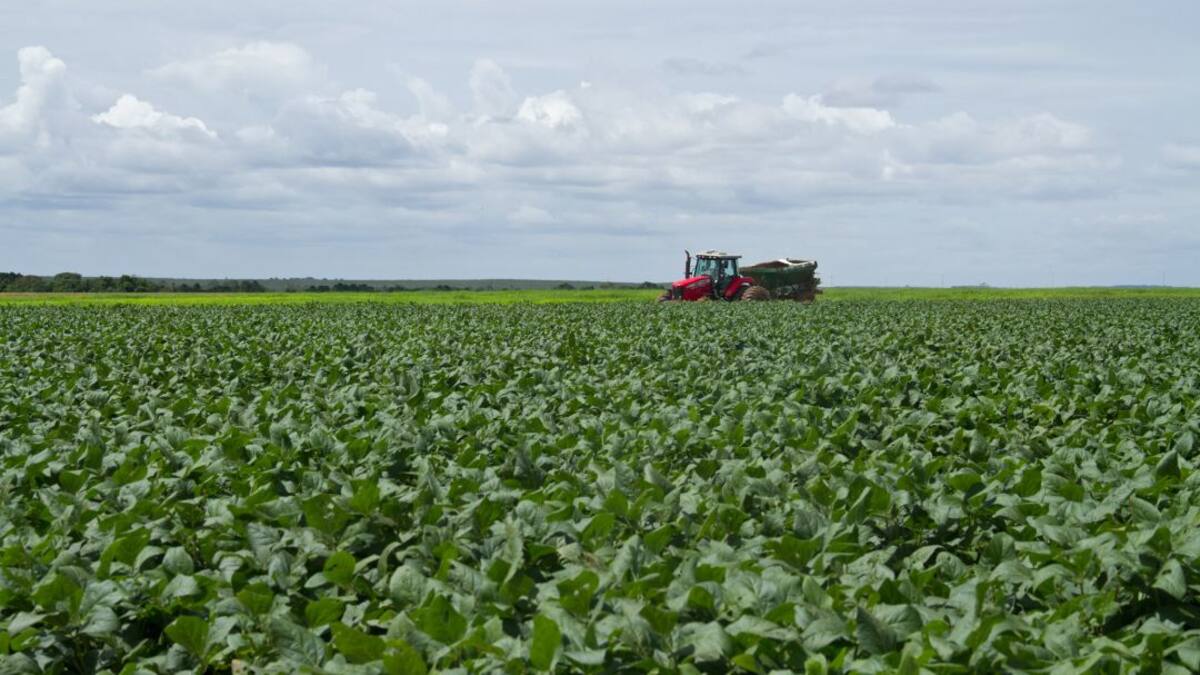¿Por qué es baja la producción de soya en Colombia?