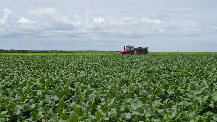¿Por qué es baja la producción de soya en Colombia?