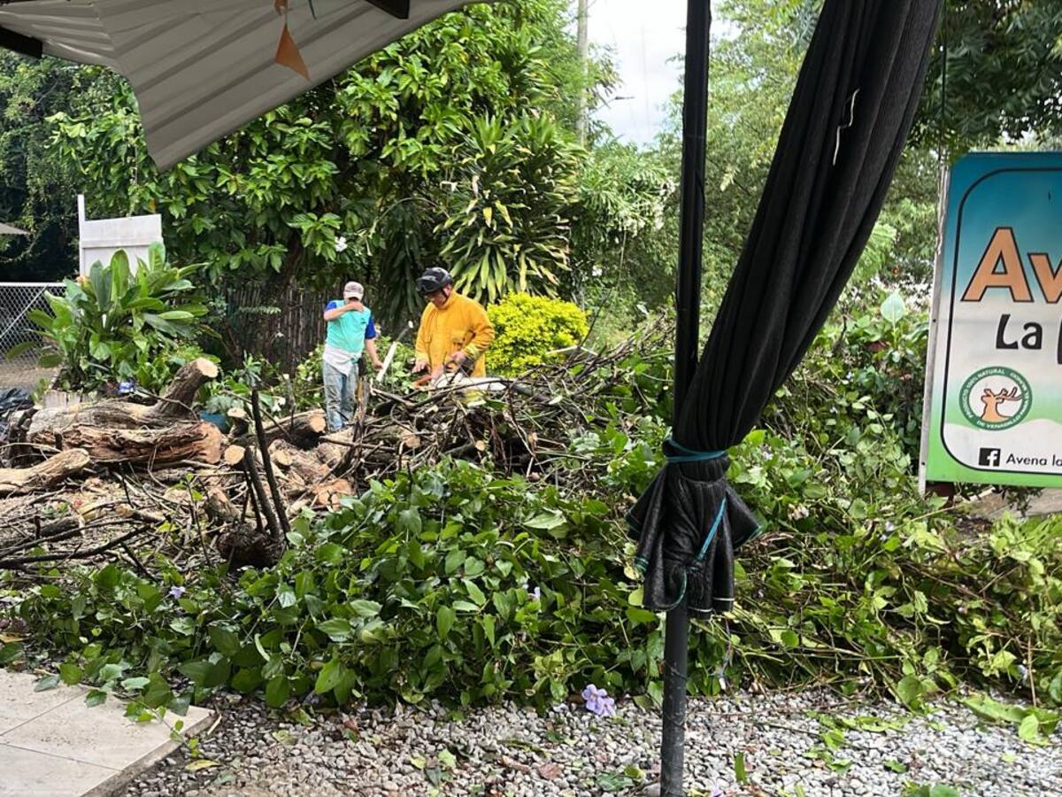 Lluvias y fuertes vientos provocaron emergencias en Venadillo, Tolima