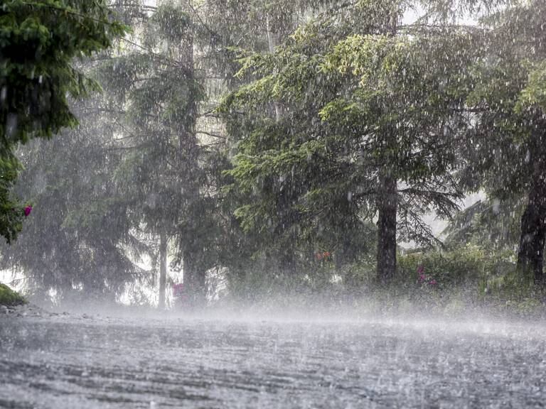 Imagen referencia - Getty Images.