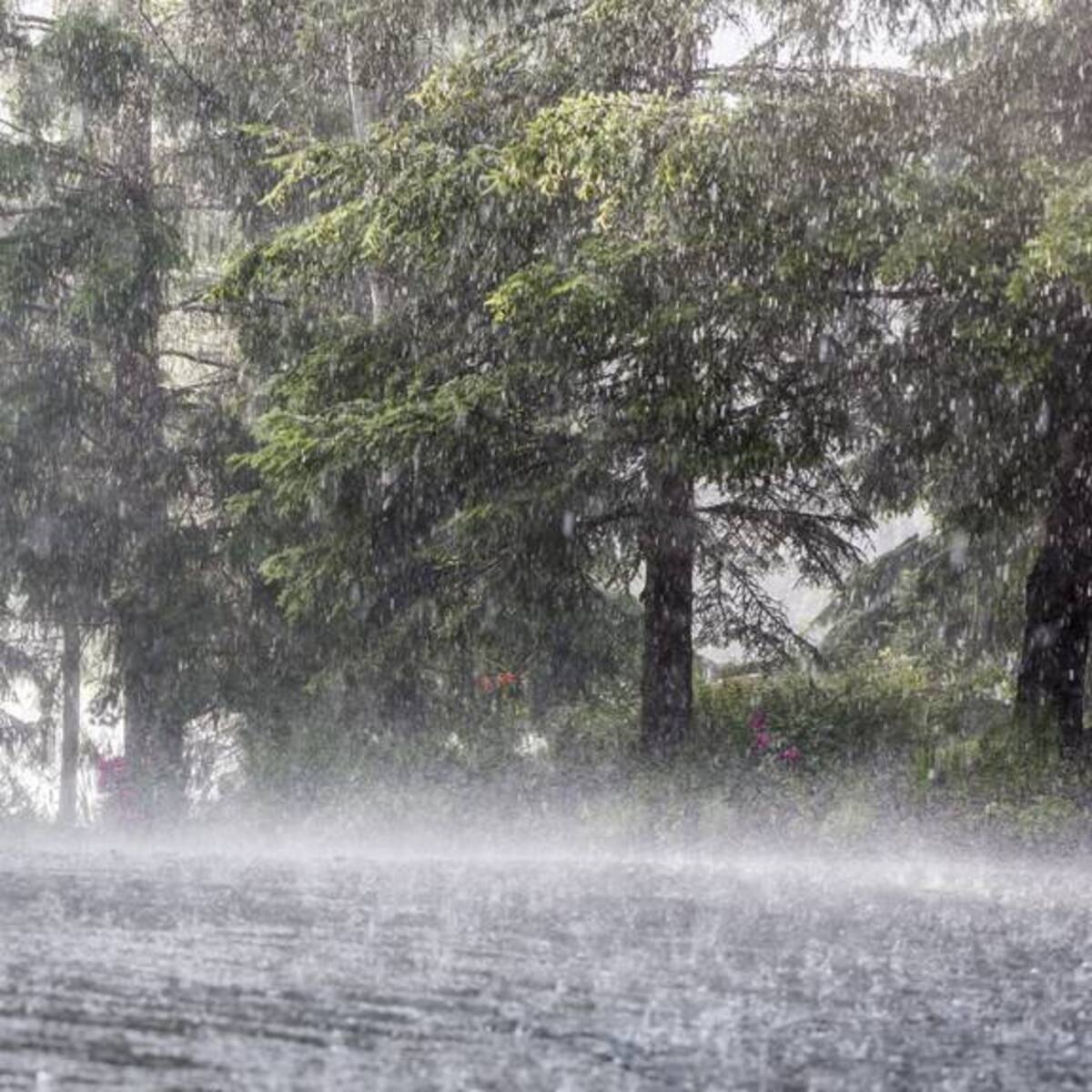 Alertas vigentes en Colombia por eventos climáticos: Ideam dice qué zonas deben prepararse