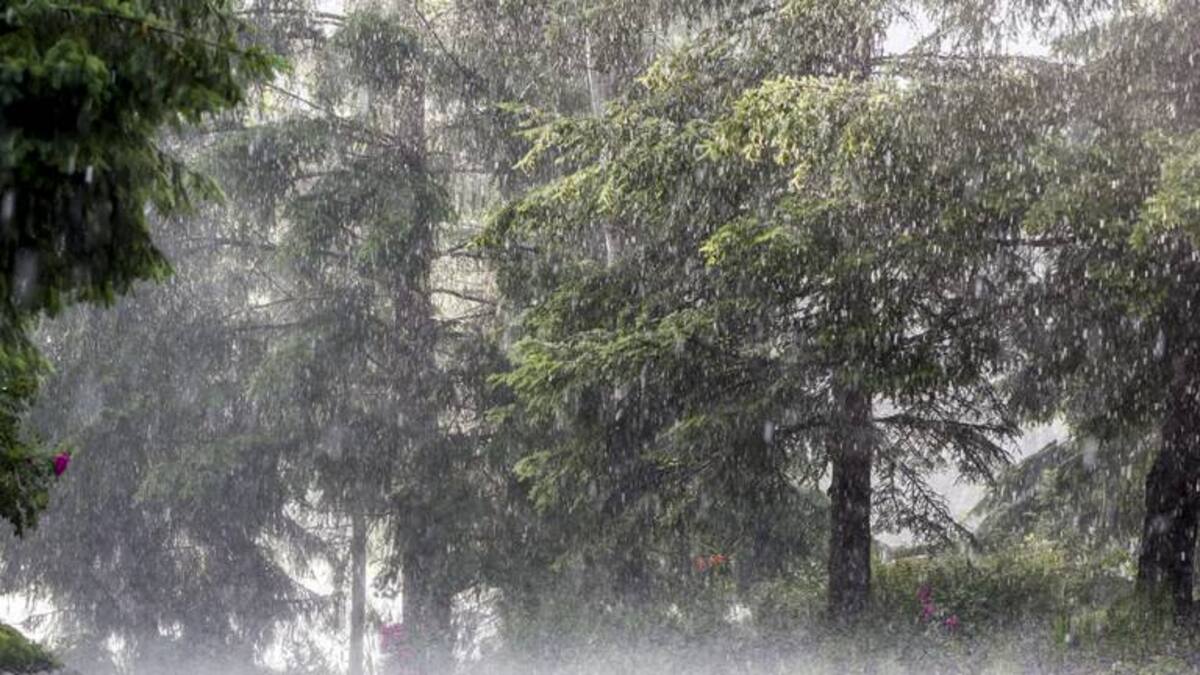 Se reactivan las alertas por probabilidad de deslizamiento en Risaralda