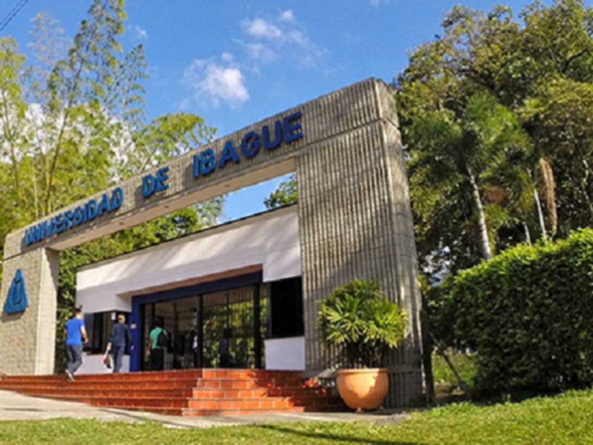 César Vallejo es el nuevo rector de la Universidad de Ibagué