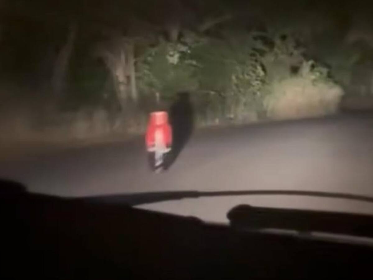 Autoridades descartan supuesto artefacto explosivo del ELN que apareció en vía del Tolima