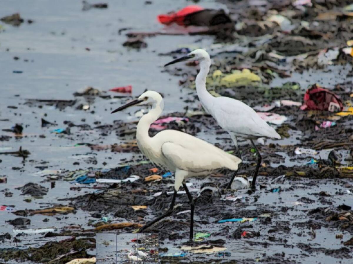 Escombros, ruido y malos olores: tres males ambientales de Cartagena