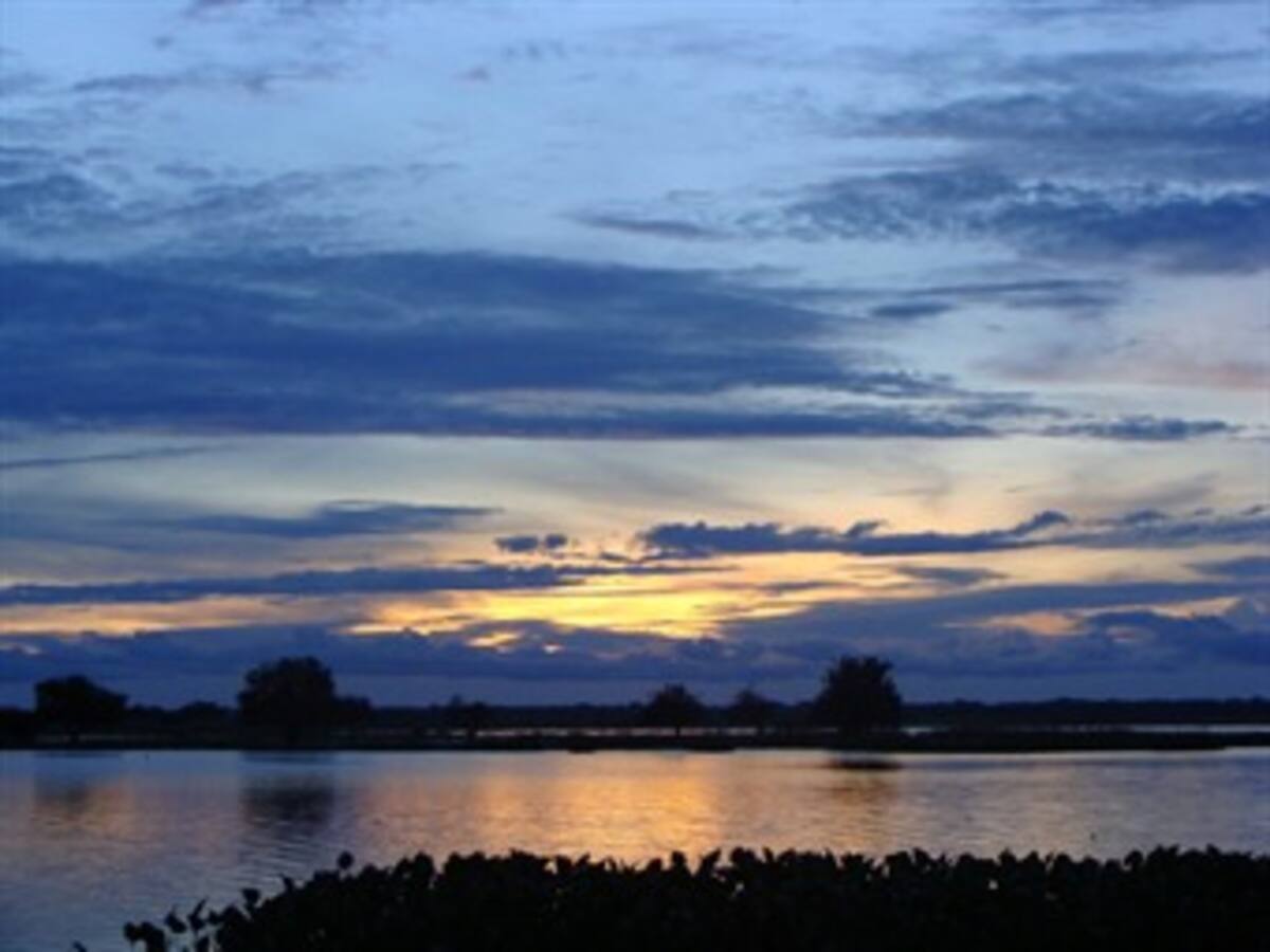 La Orinoquia colombiana, un bastión silvestre que lucha por su conservación