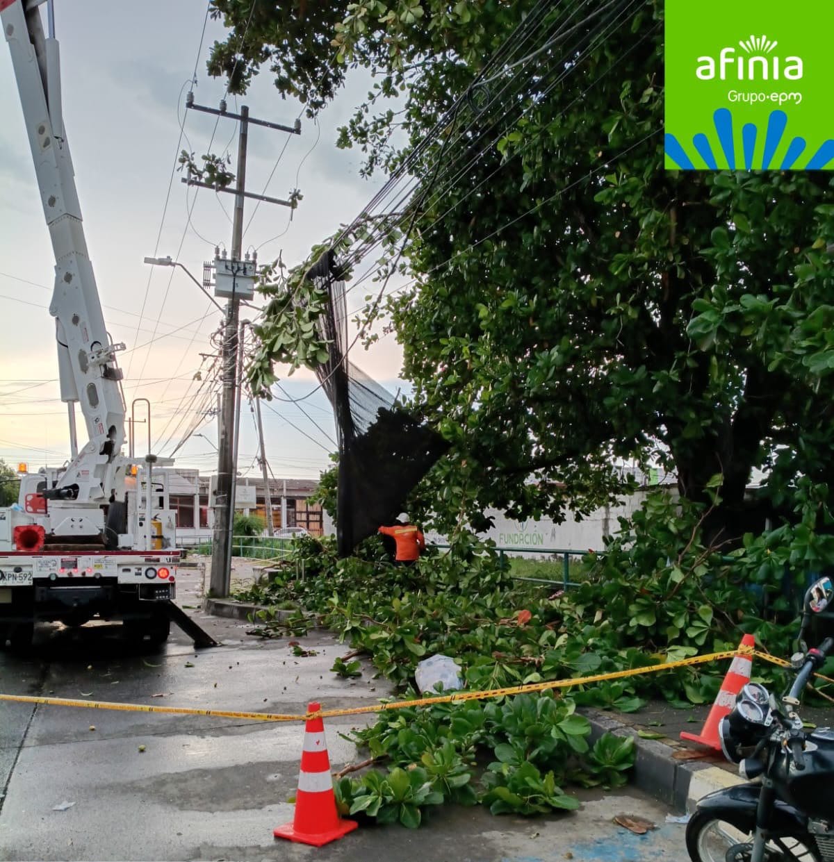 Fuertes lluvias generan emergencia en Montería: reportan caída de árboles y daños en infraestructura eléctrica. Foto: prensa Afinia.