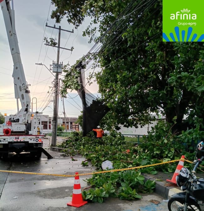 Fuertes lluvias generan emergencia en Montería: reportan caída de árboles y daños en infraestructura eléctrica. Foto: prensa Afinia.