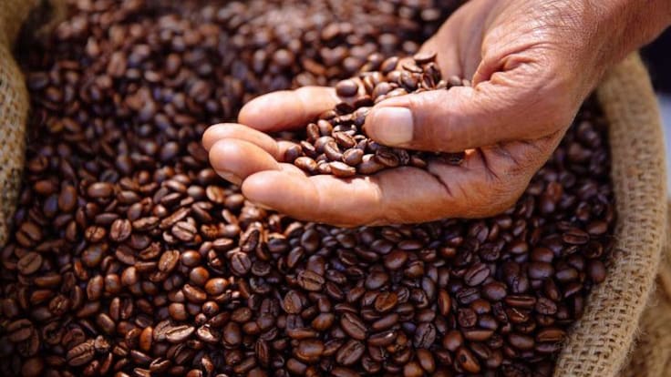 Entre aroma y cultura: así fue el primer día de “La Cuna del Café”