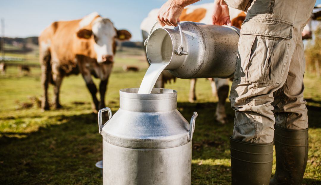 Empresa de lácteos muestra en vídeo a varias mujeres como si fueran vacas