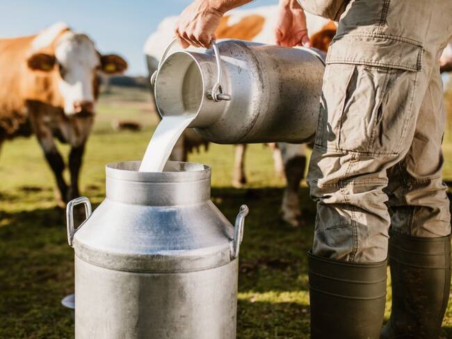 Empresa de lácteos muestra en vídeo a varias mujeres como si fueran vacas