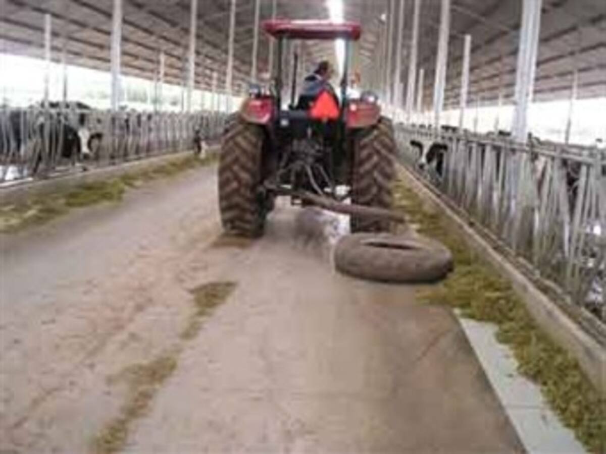 Ganaderos en Risaralda reportan baja en la producción por causa de la sequía