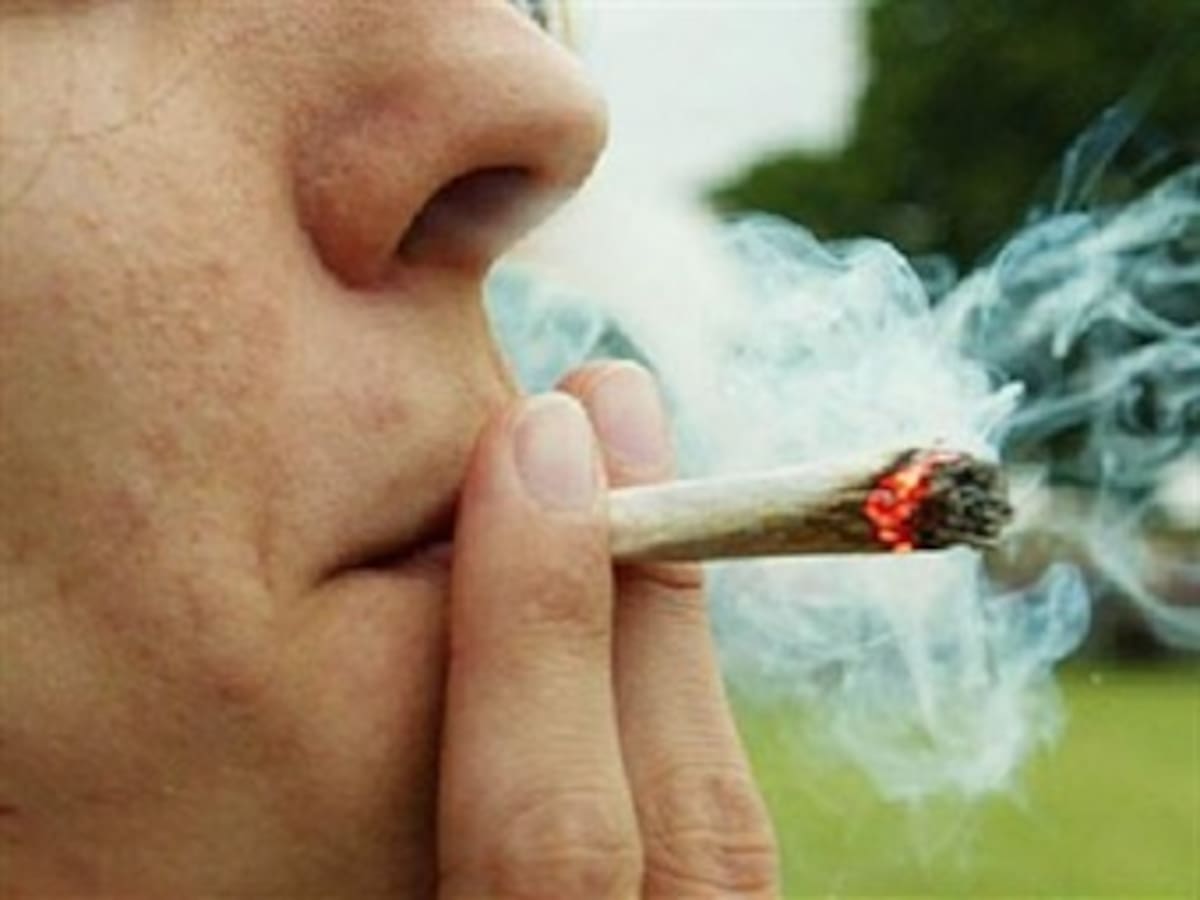 3 millones y medio de colombianos han fumado marihuana