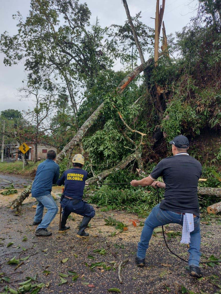 Las autoridades locales removiendo los árboles que bloquearon la carretera a Nariño, Antioquia. Foto: Facebook Alcaldía de Norcasia.