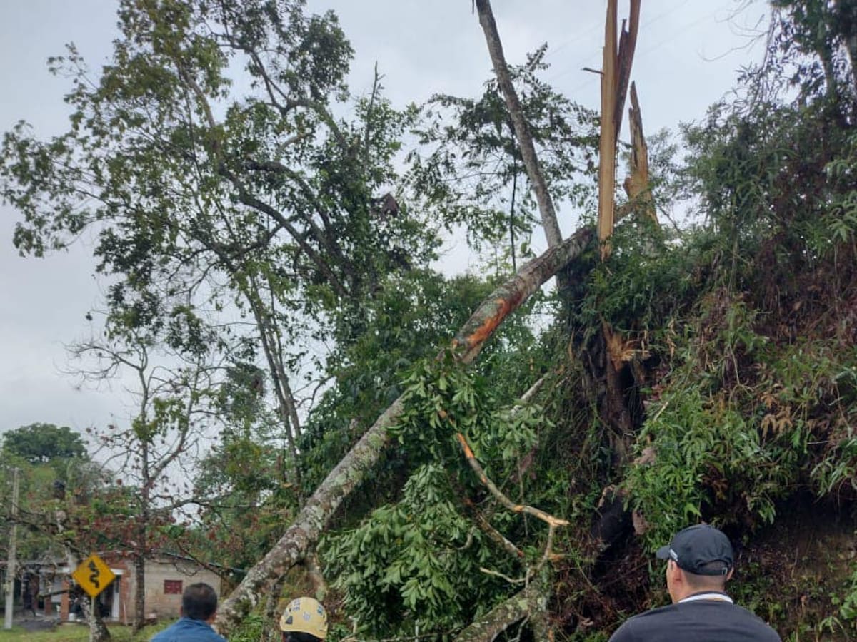 Nueve familias resultaron afectadas por un vendaval en zona rural de Norcasia, Caldas