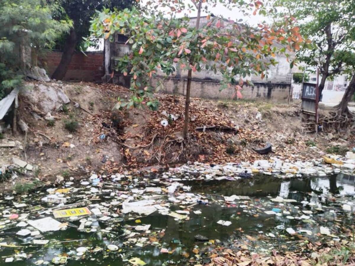 Piden a Alcaldía cumplir con tutela que ordena limpieza del canal Ricaurte