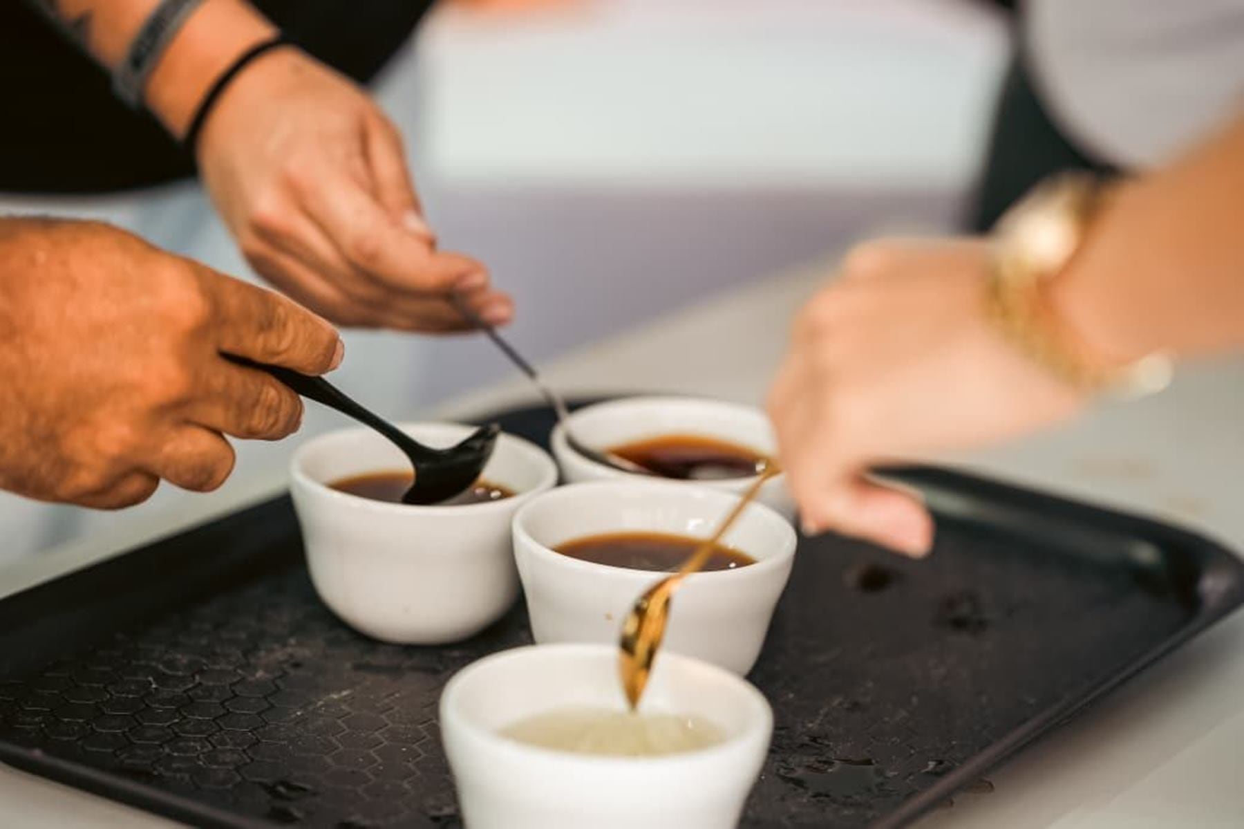 Ibagué Café Festival