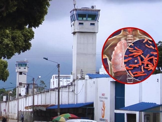 Claudia Amaya, secretaria de salud de Bucaramanga