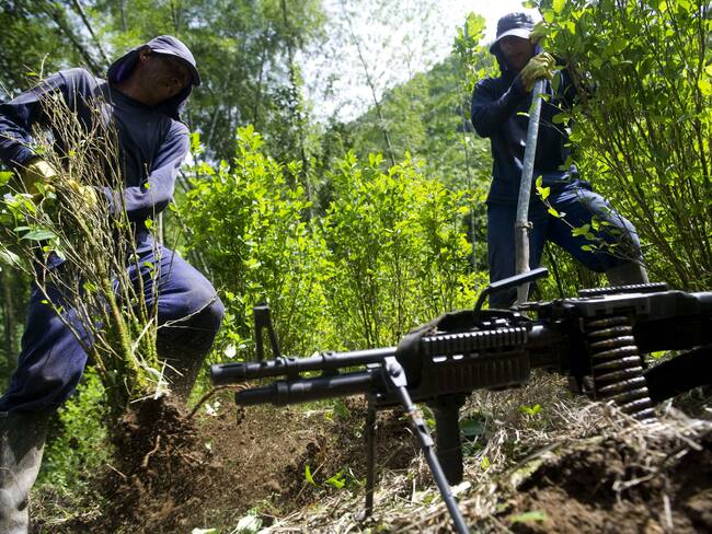 Trabajos de erradicación forzosa de cultivos ilícitos en Colombia. 
(Foto:  RAUL ARBOLEDA / AFP )