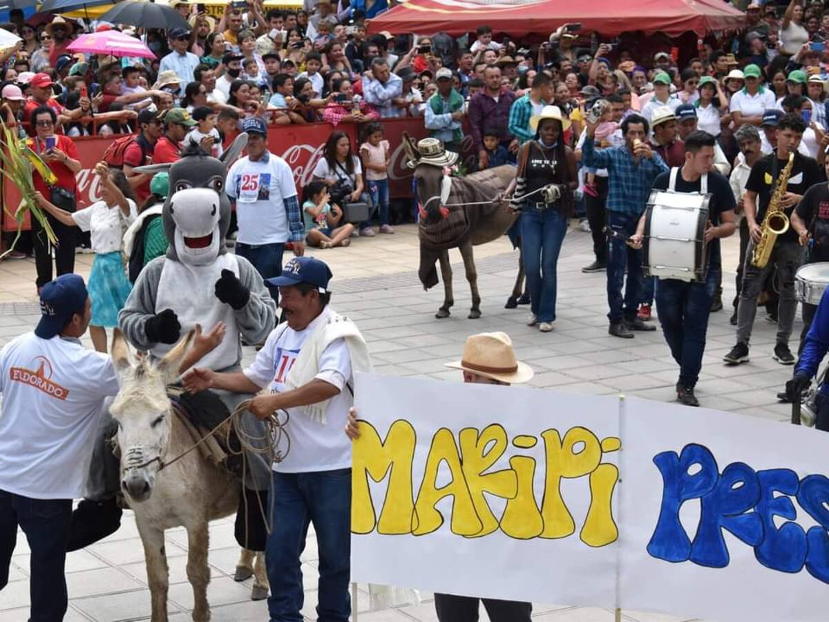 Con la “burralgata” inicia el XVII Concurso Regional del Burro en Moniquirá