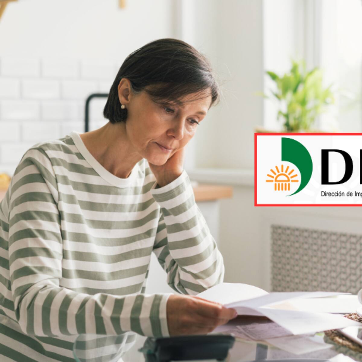 ¿Cada cuánto deben actualizar el RUT los pensionados en Colombia? DIAN lo explica