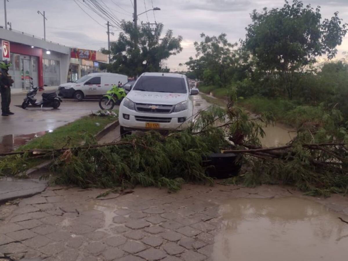 Bloqueos en La Carolina por mal estado de la vía principal