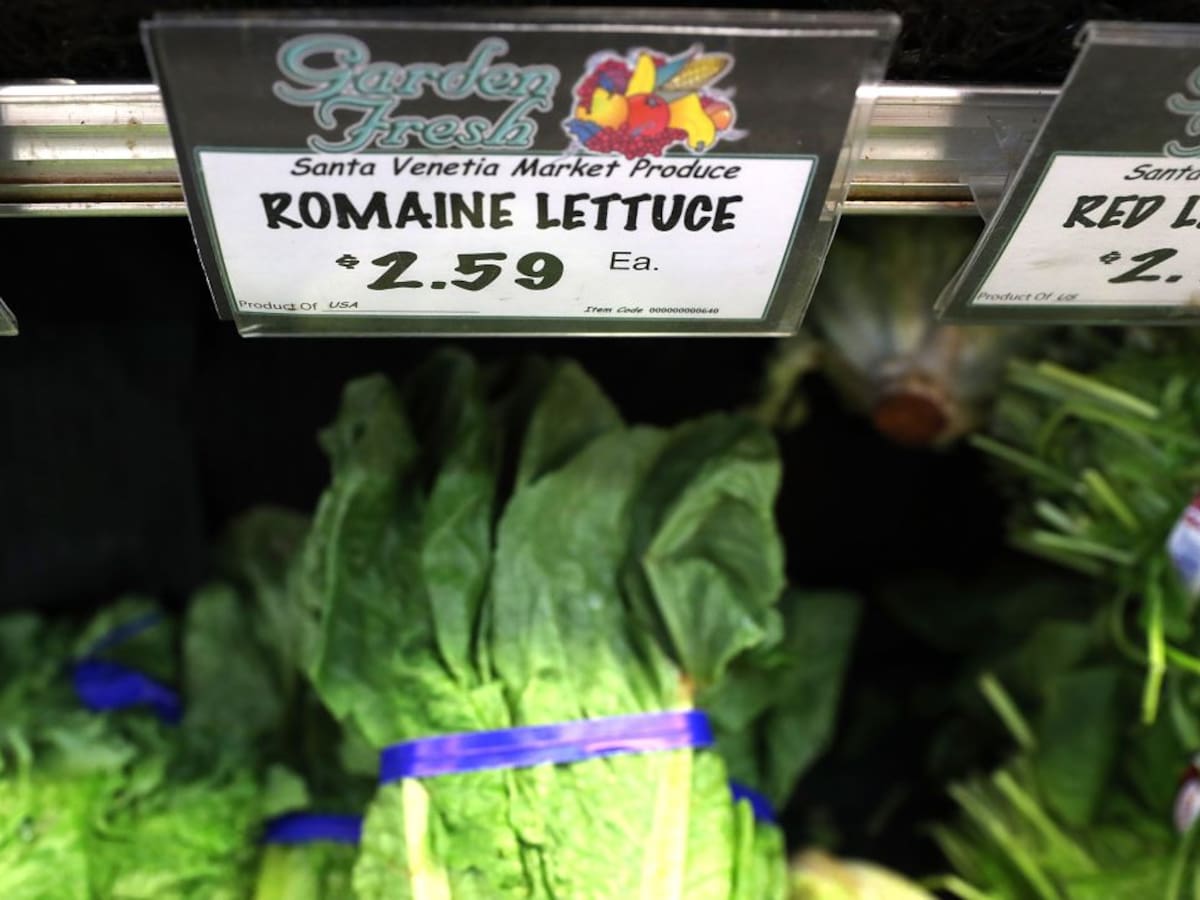EE.UU. pide no consumir lechugas romanas en el país por brote de "E. coli"