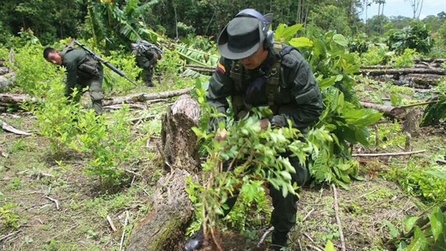 Imagen de referencia. Foto: Colprensa