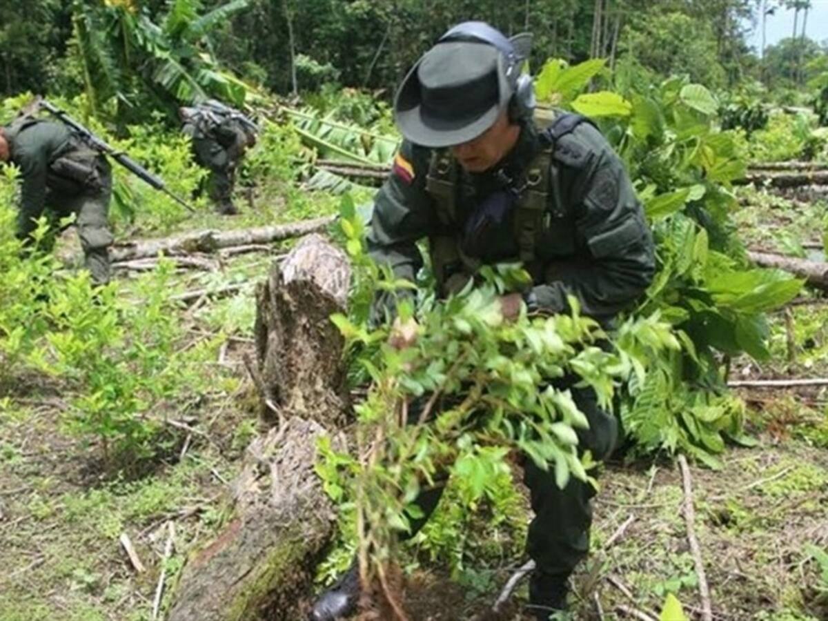 Difícil situación por erradicación en el Guaviare deja un policía muerto